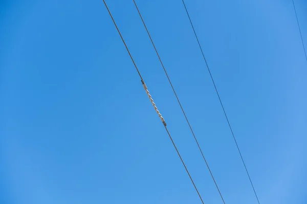 Fios Alta Tensão Com Uma Espiral Contra Céu Azul Arame — Fotografia de Stock