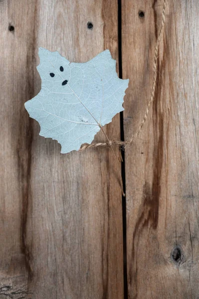 Leaf of a tree with a face painted against a wooden background. White poplar leaf with eyes and mouth drawn hanging vertically on string. Old cracked boards.