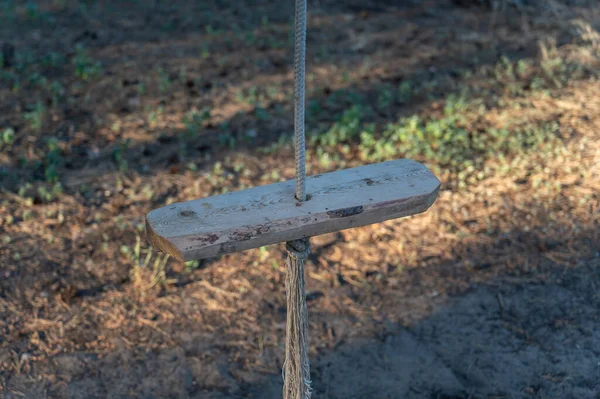 Columpio Vacío Una Sola Cuerda Una Cuerda Columpio Madera Cuerda —  Fotos de Stock