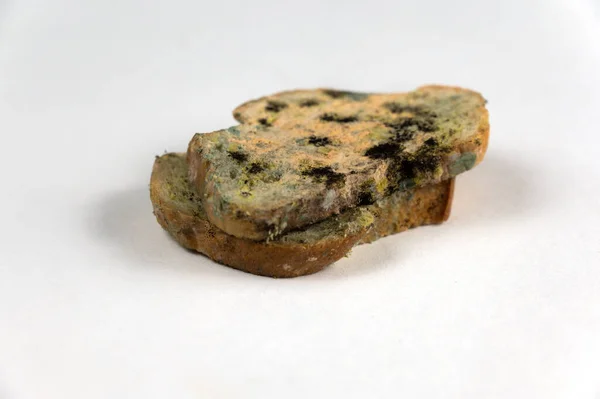 Das Verschimmelte Brot Steht Dem Neutralen Hintergrund Gegenüber Zwei Scheiben — Stockfoto