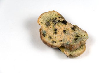 Küflü ekmek nötr arka planın karşısındadır. Mantar kalıbıyla kaplı iki dilim buğday ekmeği. Bozuk yemek. Seçici odak.