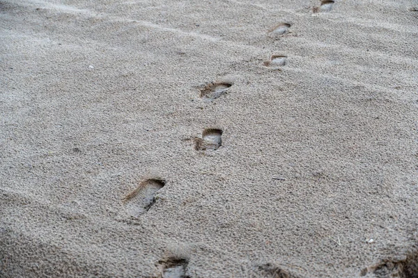 Footprints on wet sand. Close-up of human footprints in distant perspective. Selective focus.