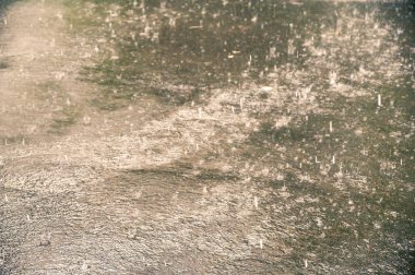 Yaz yağmurunun odaksız görüntüsü. Şehir caddesinde bir yağmur fırtınası. Bir yaz fırtınası. Büyük yağmur damlaları yağıyor. Seçici odaklanma. Hareket bulanıklaştı. Gürültü, tahıl etkisi.