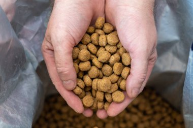 Erkeklerin ellerinden köpek maması topakları döküldü. Orta yaşlı bir adamın elleri kahverengi yuvarlak topakları avuç dolusu tutar. Yiyecekler açık bir torbaya düşer. Bulanık hareket. Yakın plan. Seçici odak.