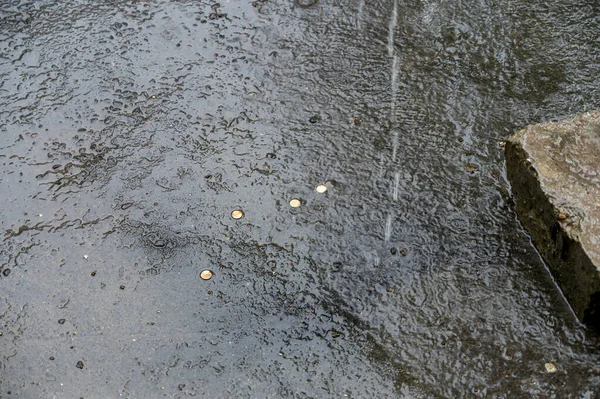 거리에 폭풍우가 몰아쳤습니다 잃어버린 동전들 우크라이나 빗방울에 맞았습니다 선택적 집중입니다 — 스톡 사진