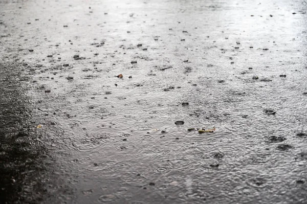 อของพาย ฝนฤด อนบนถนนในเม พาย ฝนท ถนนในเม องยางมะตอย พาย าในฤด ฝนตกหน ภาพสต็อก