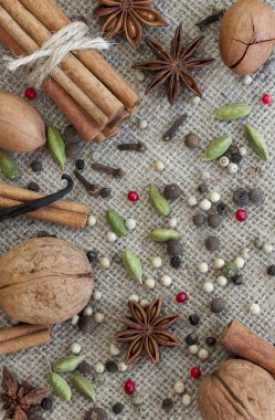 çeşitli doğal baharat koleksiyonu