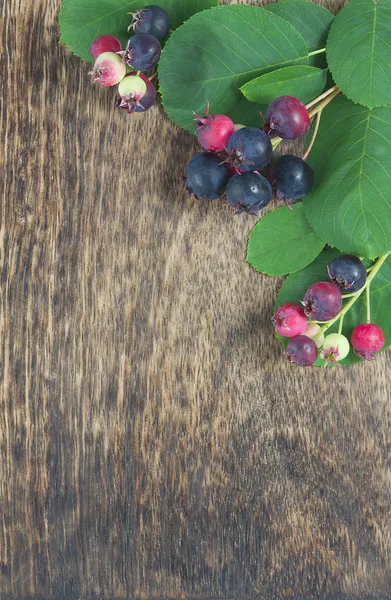 Berries in front of dark wooden background — Stock Photo, Image