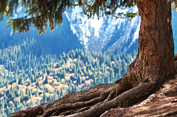 Tibet landscape. — Stockfoto