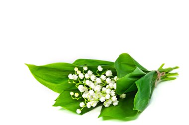 lily vadi beyaz çiçek grup.