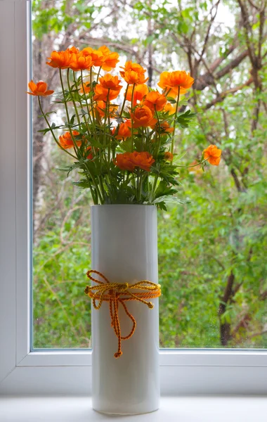 Fiori d'arancio primaverili di globeflowers — Foto Stock