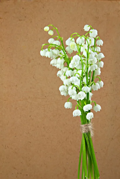 Blumen der Maiglöckchen. — Stockfoto