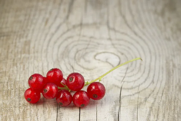 Ripe redcurrant berries — Stock Photo, Image