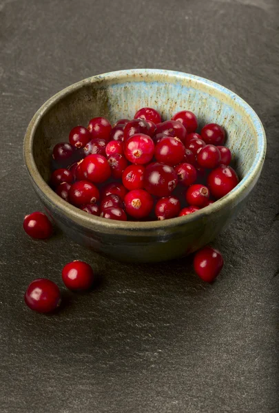 Fresh ripe cranberries. — Stock Photo, Image
