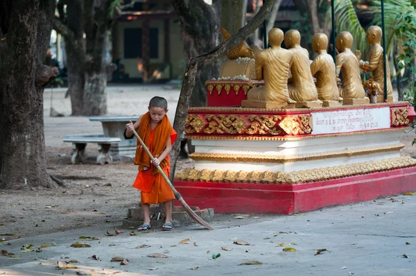 Young laotian monk cleans up Vat Phiavat monastery after religious ceremony. — Stock Photo, Image