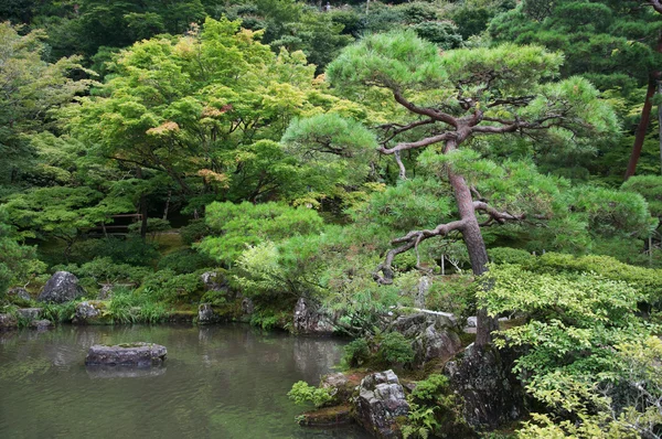 Elements of perinteinen japanilainen puutarha — kuvapankkivalokuva