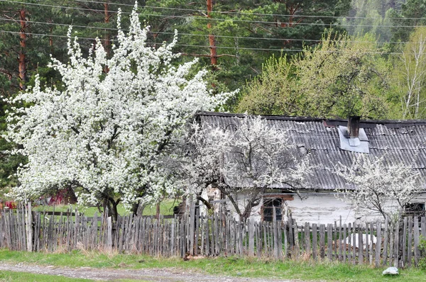 Маленький традиционный деревенский дом в России — стоковое фото