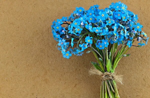 Bunch of blue forget me not flower — Stock Photo, Image