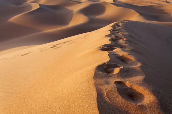 Footsteps on the sand dunes — Stock Photo, Image