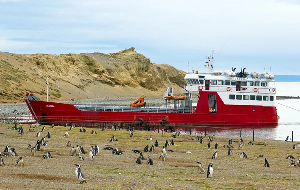 Melinka ferry anchored at the coast of Magdalena island — Stock Photo, Image