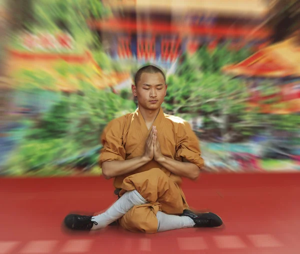 Shaolin Rahipleri Çin dövüş sanatları teşvik etmek için ücretsiz gösteri yapmak.