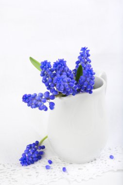 Seramik Vazoda beyaz dantel arka plan üzerinde üzüm sümbül çiçeği.