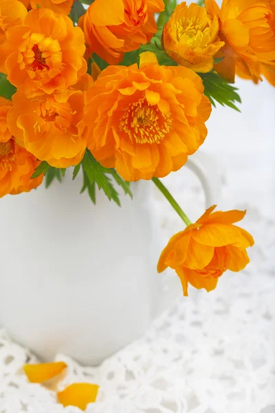 Πορτοκαλί globeflower — Φωτογραφία Αρχείου