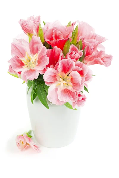 Pink flowers — Stock Photo, Image