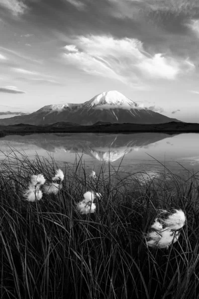 托尔巴奇火山的圆锥反映在一个小湖中平静的水中 堪察加半岛 — 图库照片