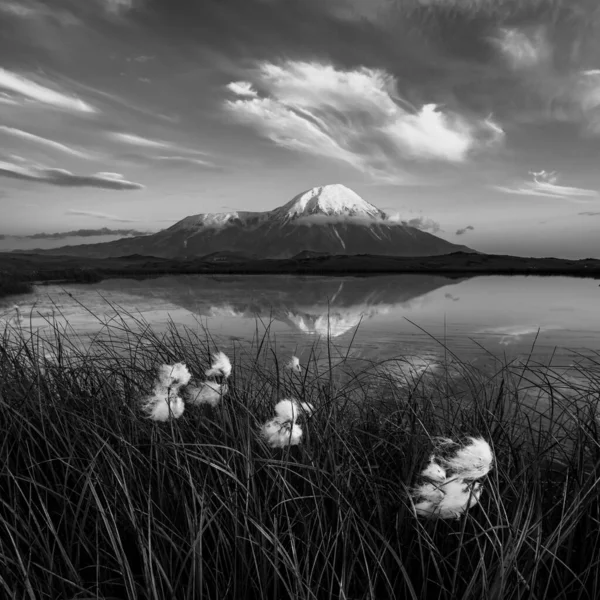 Cone Tolbachic Volcano Mirrored Calm Water Tiny Lake Kamchatka Peninsula — Stock Photo, Image