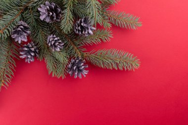 Noel arkaplanı. Ladin dalları ve gümüş külahlar. Boşluğu kopyala.