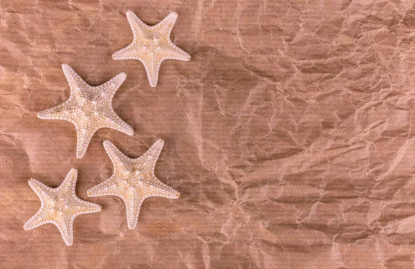 Starfish Crumpled Paper Background Copy Space — Stok fotoğraf