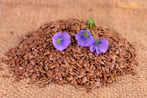Useful flax seeds on and flax flowers.Close-up.