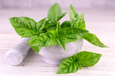 Beyaz ahşap arka planda taze fesleğen. Yakın plan..