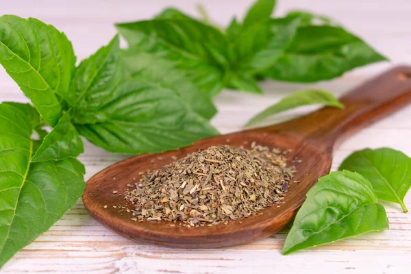 Dry Basil Wooden Spoon Natural Spices — Stok Foto