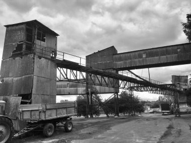 Bir tahıl işleme tesisinde üçüncü kategorinin atıkları kuşlar için mükemmel bir besindir..