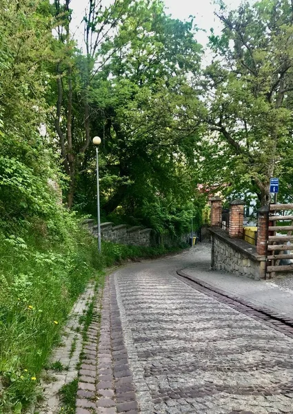 Caminando Por Ciudad Parque Kazimir Przemysl Polonia Más Mirando Como —  Fotos de Stock