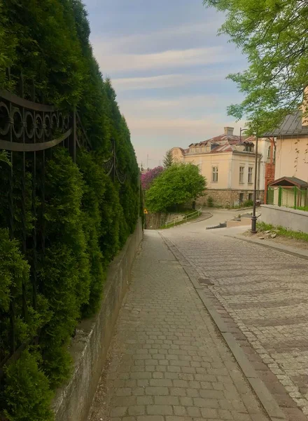 Casas Calles Przemyl Polonia Filmado Diferentes Momentos Sobre Todo Atardecer —  Fotos de Stock