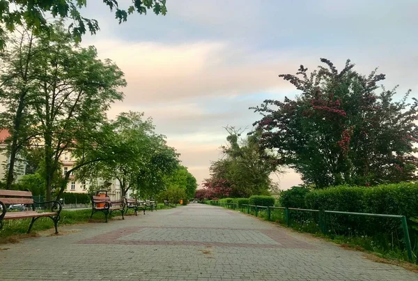 Terraplén Del Río San Przemysl Polonia Verano Muy Agradable Caminar —  Fotos de Stock