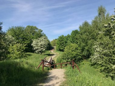 Tatar tepeciğindeki tahta köprüler ve basamaklar çalılar ve uzun ağaçlar arasında Polonya 'nın Przemyl kentinde yerel halkın yürüyüş ve dinlenme yeridir.. 