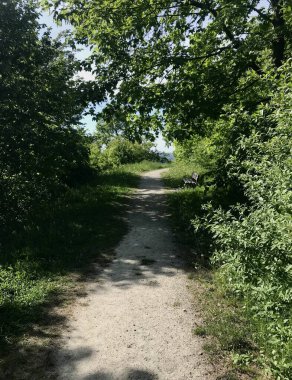 Tatar Kurgan 'daki parkta yürüyüş yolları sadece temiz havanın tadını çıkarmakla kalmıyor, aynı zamanda Polonya' nın Przemysl kentindeki en yüksek tepenin güzel manzarasına da hayran kalıyor..