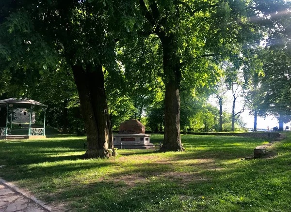 Passeggiata Città Parco Kazimir Przemysl Polonia Più Guardando Come Foresta — Foto Stock