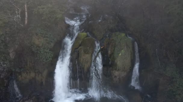 Hermosa vista de una cascada en un bosque de montaña con agua cristalina. — Vídeos de Stock