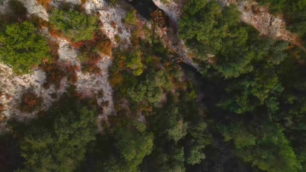 Mountain forest, top aerial view. The drone descends vertically down — 图库视频影像
