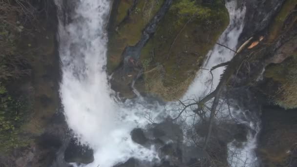Pintoresca cascada en el bosque en las montañas, vista superior. — Vídeo de stock