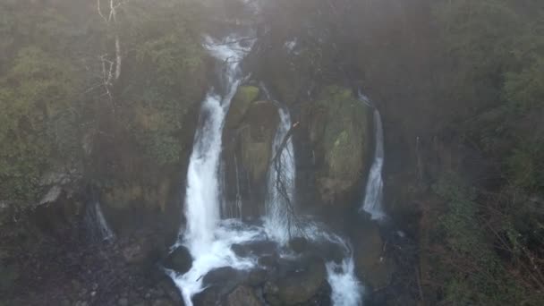 Cascada en el bosque por la mañana temprano en la niebla. — Vídeos de Stock