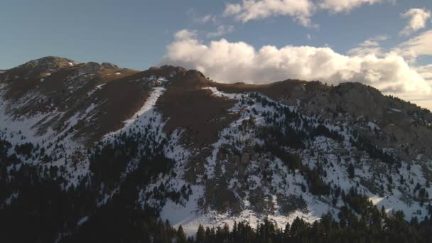Elragadó kilátás a magas hegyek hó és tűlevelű fák. — Stock videók