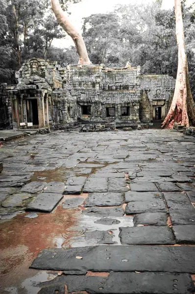 Angkor Wat, Camboya — Foto de Stock