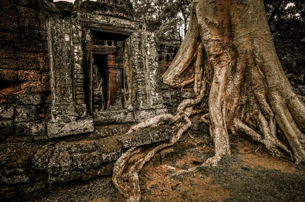 Angkor Wat, Camboya — Foto de Stock