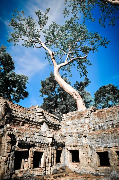 アンコール ワット、カンボジア — ストック写真